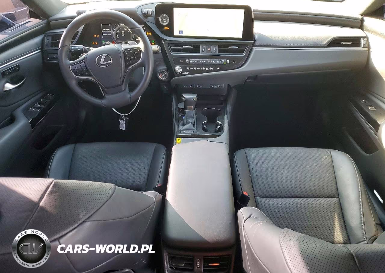 2024 Lexus Es 300H Base VIN:58ADA1C1XRU052481 - 8