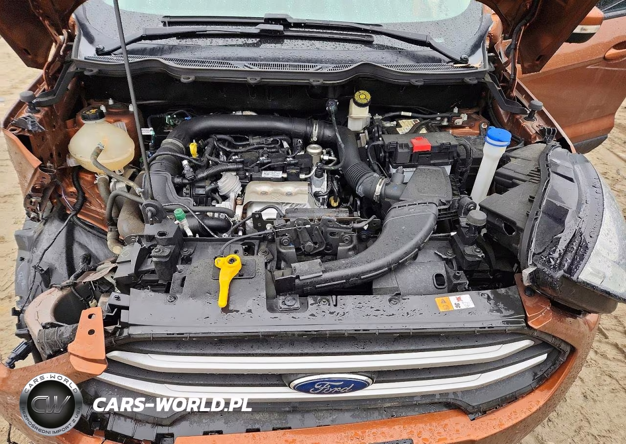 2020 Ford Ecosport Se VIN:MAJ3S2GE7LC369001 - 12
