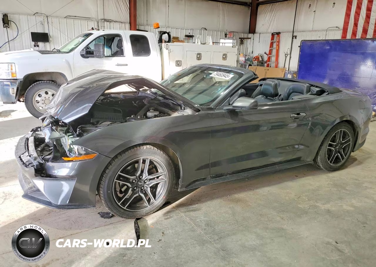 2019 Ford Mustang Gt – zdjęcie 1 z 12