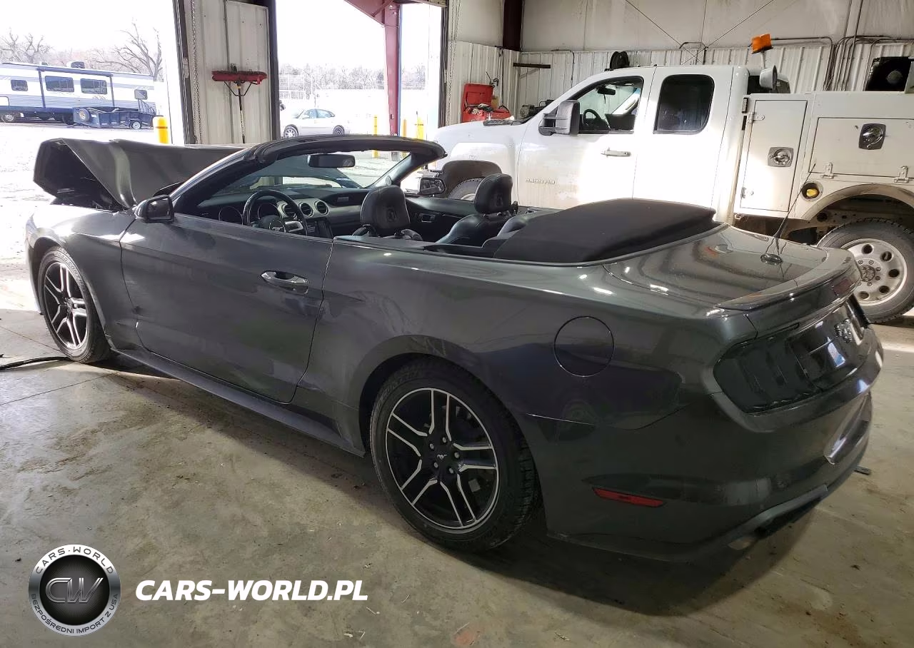 2019 Ford Mustang Gt VIN:1FATP8UH6K5170057 - 2