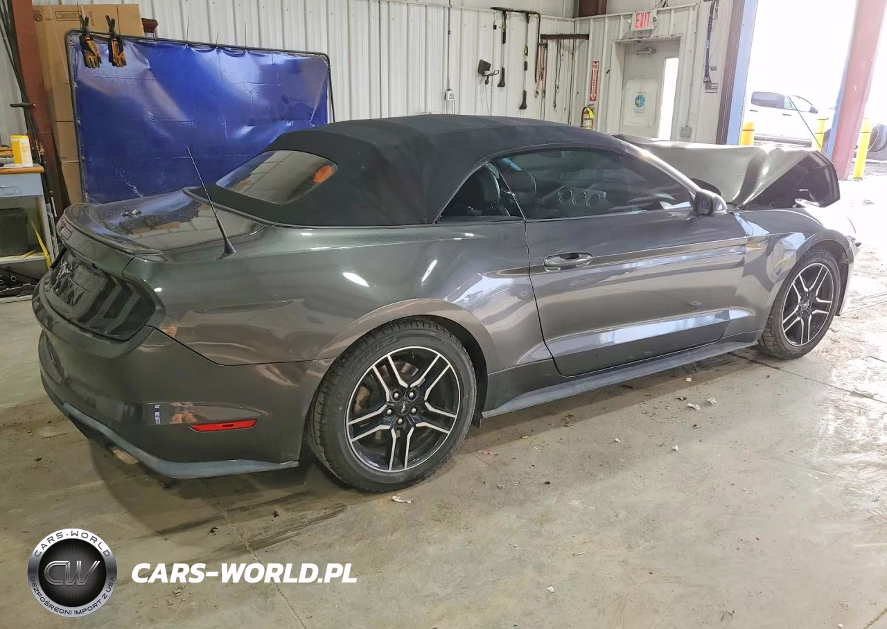 2019 Ford Mustang Gt VIN:1FATP8UH6K5170057 - 3