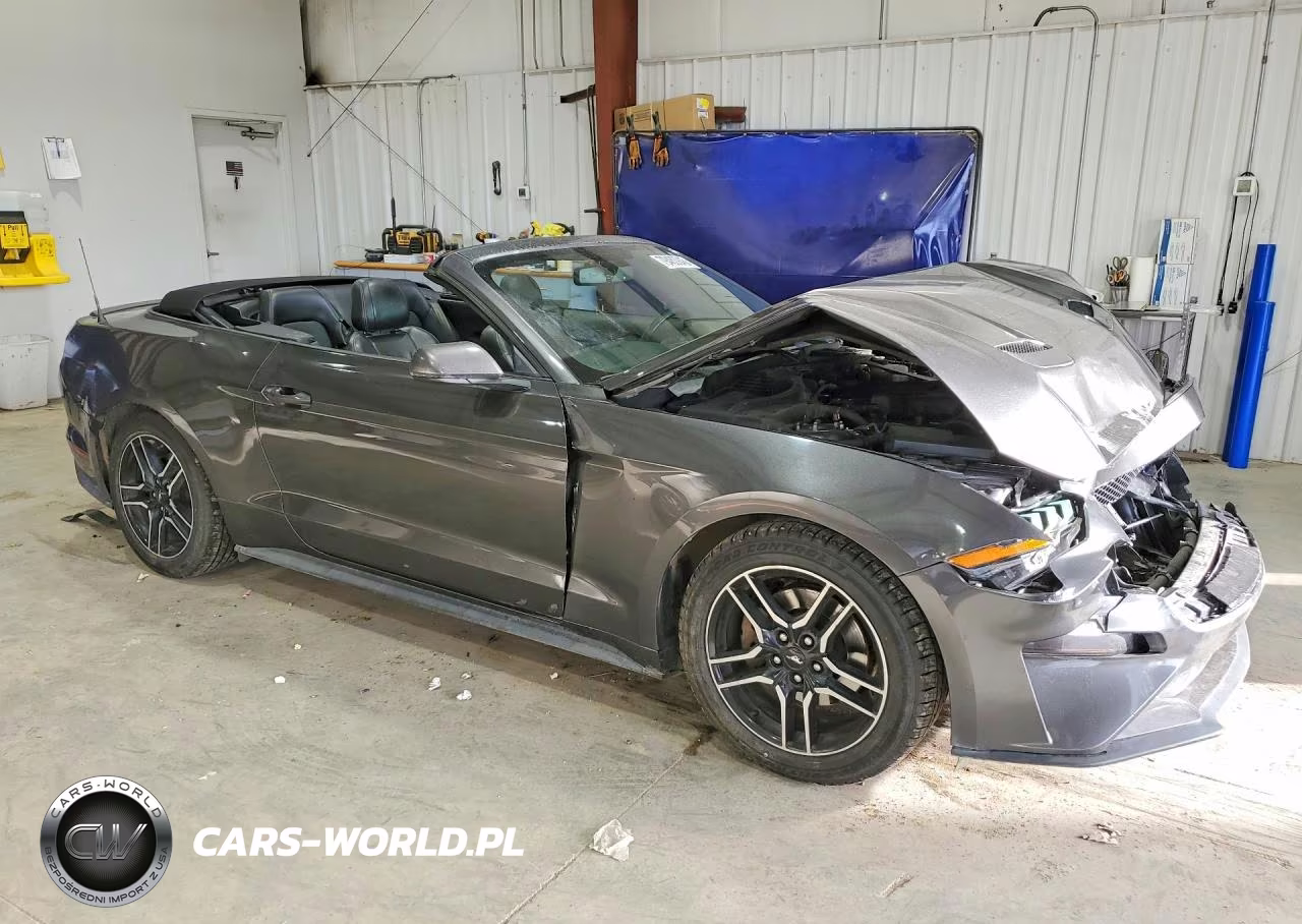 2019 Ford Mustang Gt VIN:1FATP8UH6K5170057 - 4