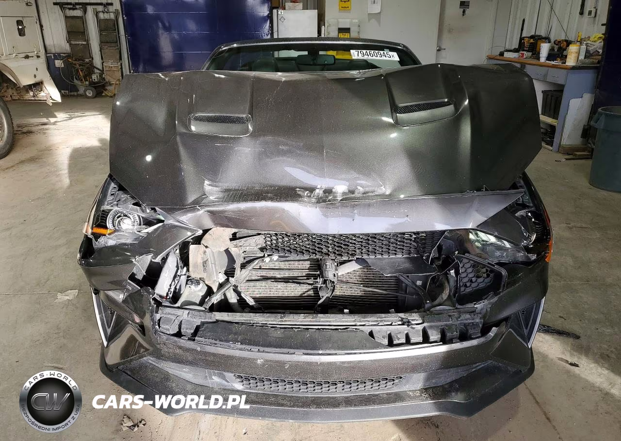 2019 Ford Mustang Gt VIN:1FATP8UH6K5170057 - 5
