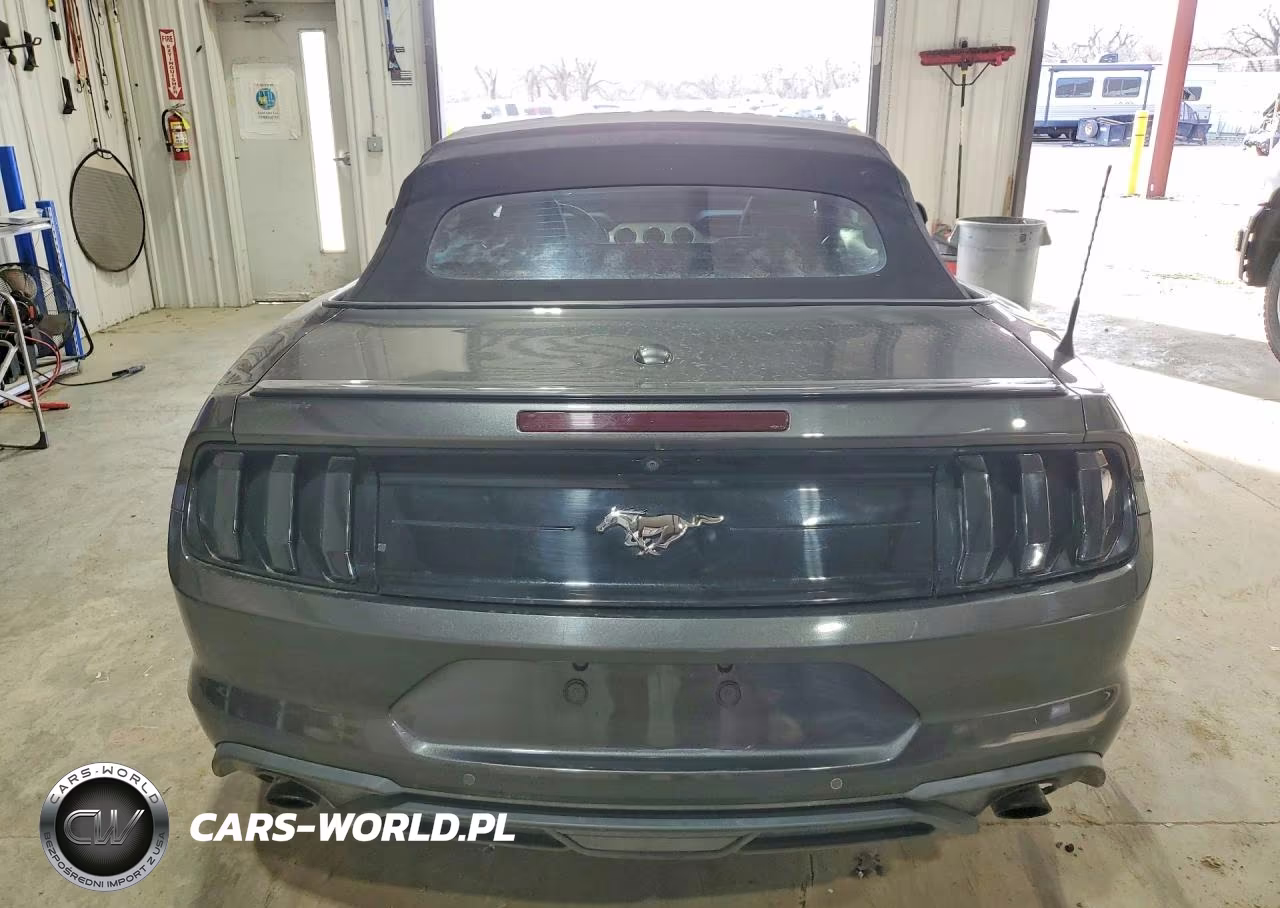 2019 Ford Mustang Gt VIN:1FATP8UH6K5170057 - 6