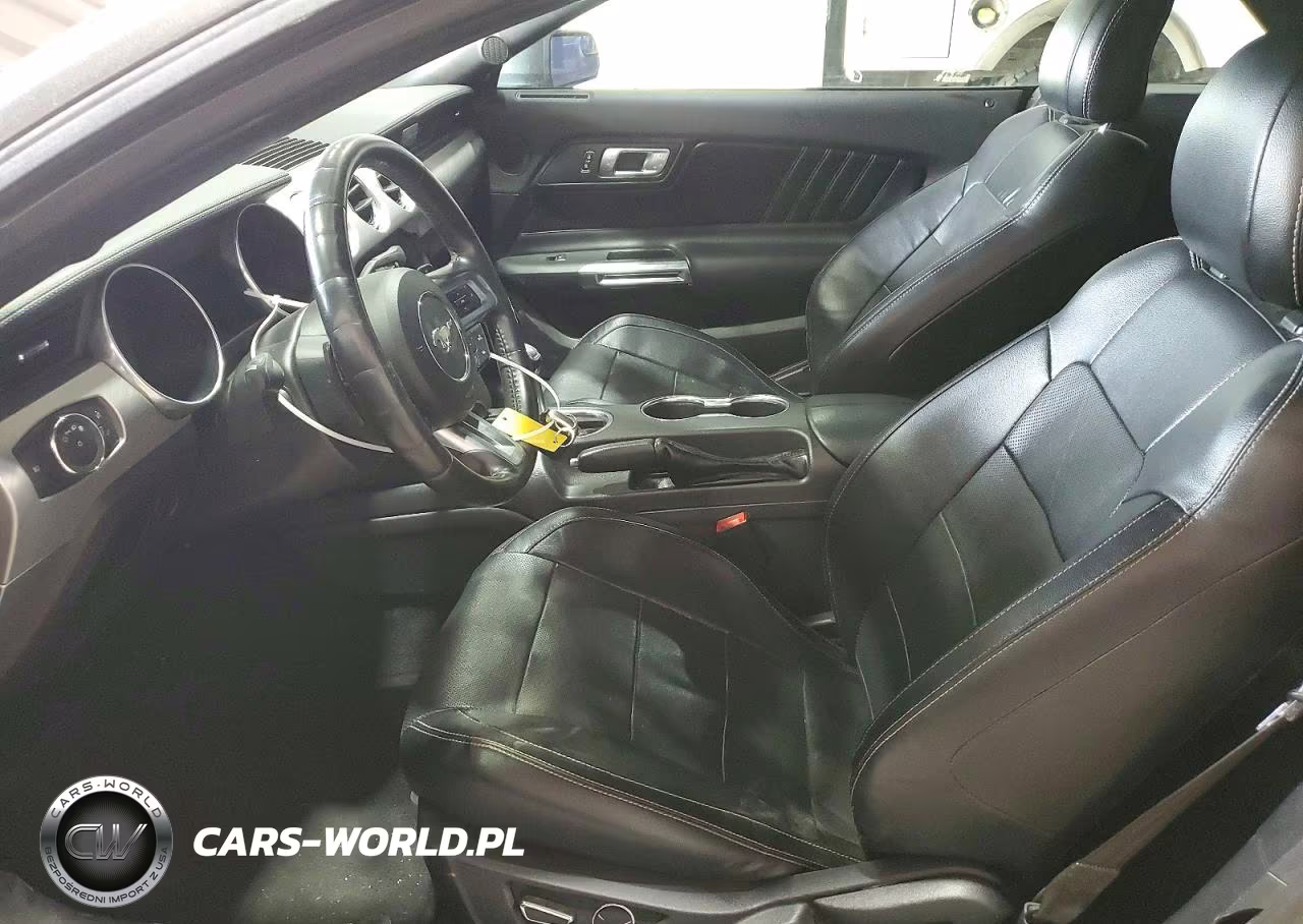 2019 Ford Mustang Gt VIN:1FATP8UH6K5170057 - 7