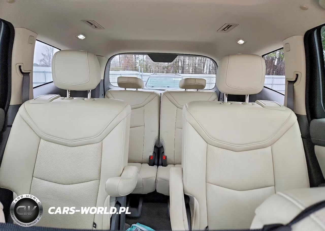 2020 Cadillac Xt6 Premium Luxury VIN:1GYKPCRS2LZ179419 - 10