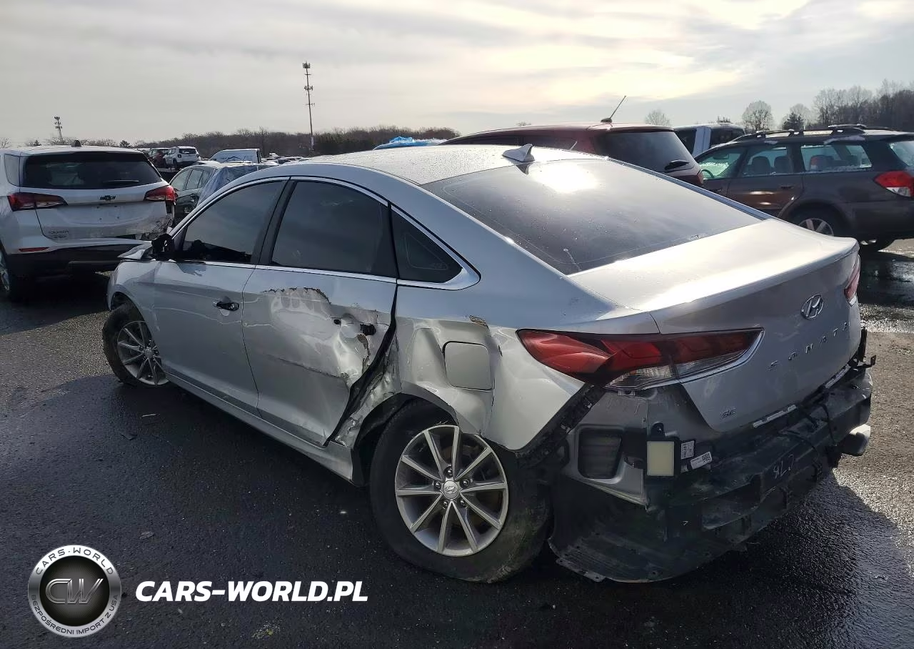 2019 Hyundai Sonata Se VIN:5NPE24AF7KH757025 - 2