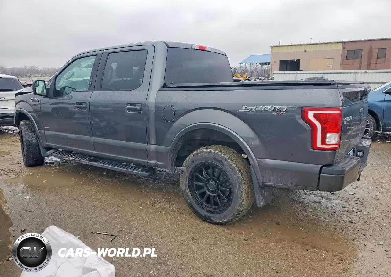2017 Ford F150 Supercrew VIN:1FTEW1EP2HFB83961 - 2
