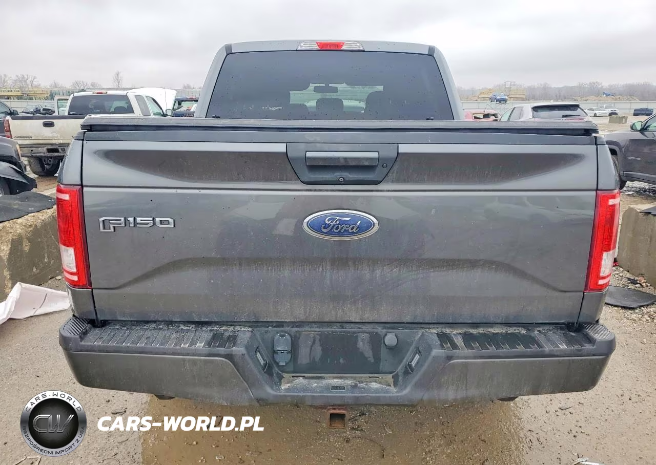 2017 Ford F150 Supercrew VIN:1FTEW1EP2HFB83961 - 6