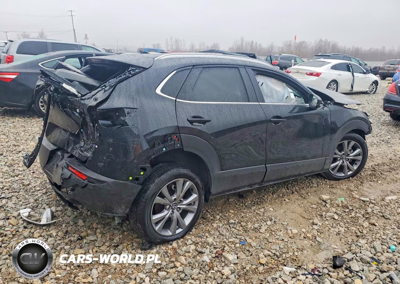 2024 Mazda Cx-30 Preferred VIN:3MVDMBCMXRM657204 - 3
