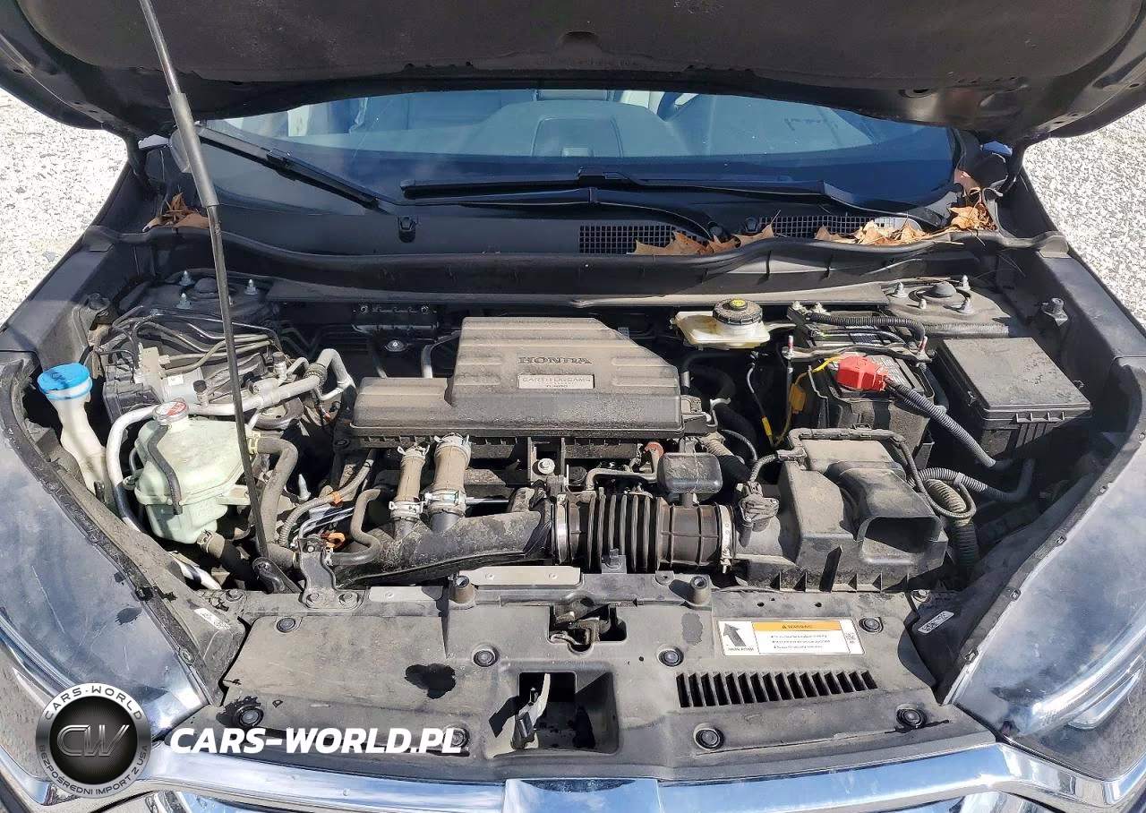 2019 Honda Cr-V Exl VIN:5J6RW1H85KA029930 - 12