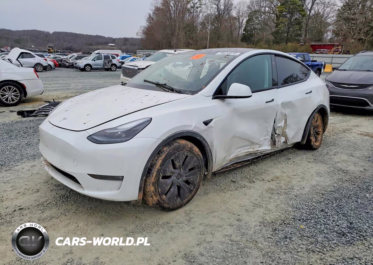 2024 Tesla Model Y