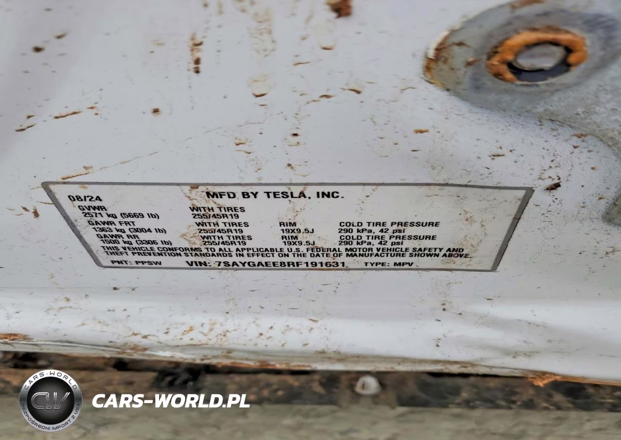 2024 Tesla Model Y VIN:7SAYGAEE8RF191631 - 12