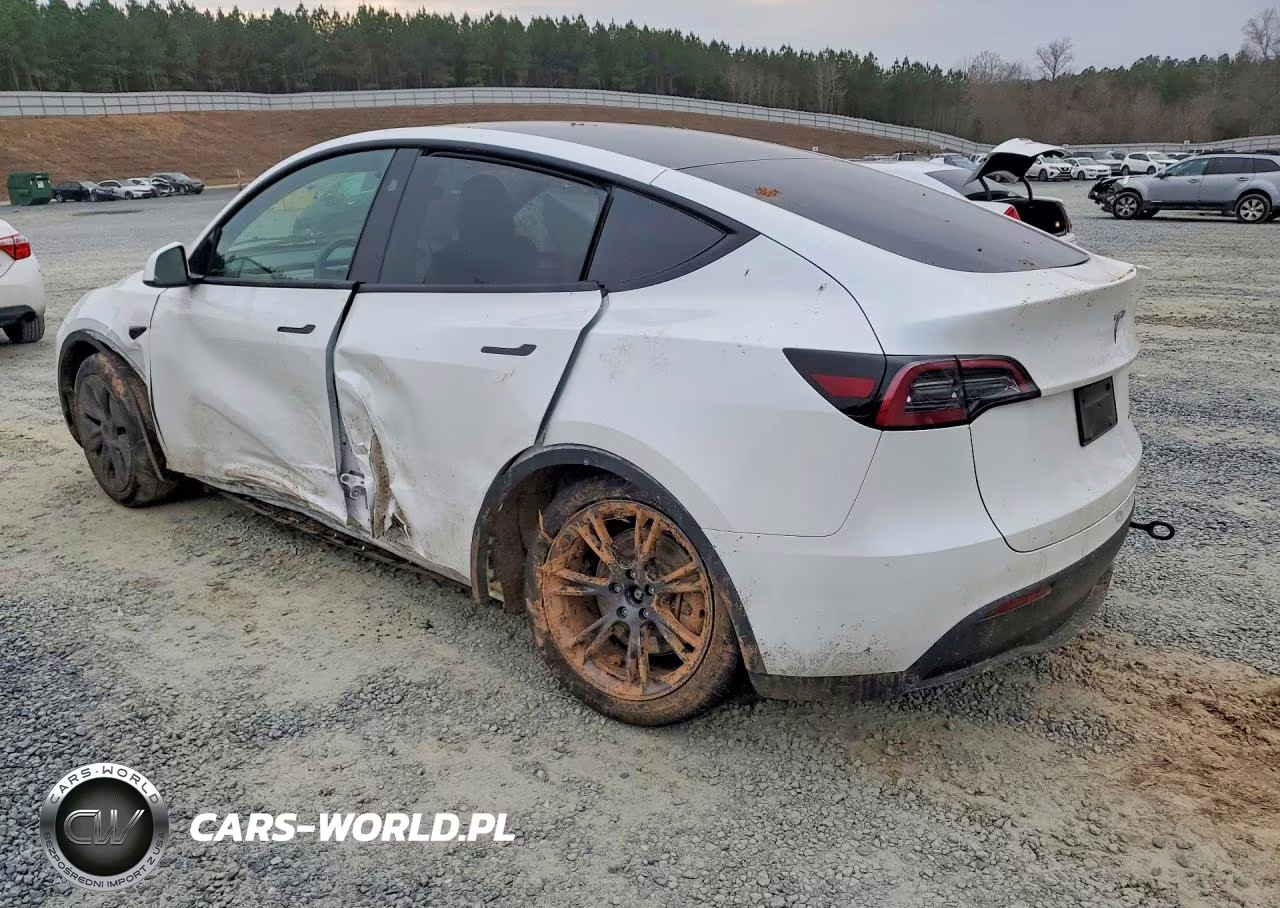 2024 Tesla Model Y VIN:7SAYGAEE8RF191631 - 2