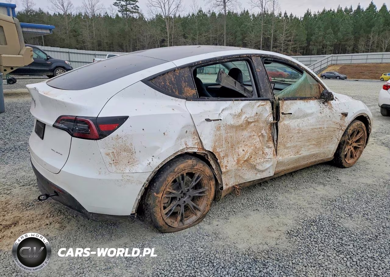 2024 Tesla Model Y VIN:7SAYGAEE8RF191631 - 3