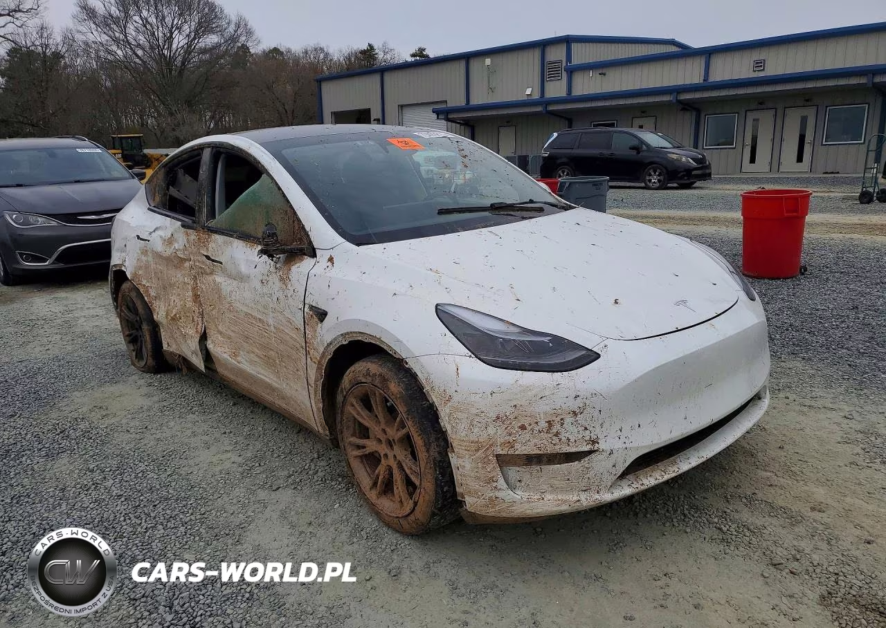 2024 Tesla Model Y VIN:7SAYGAEE8RF191631 - 4