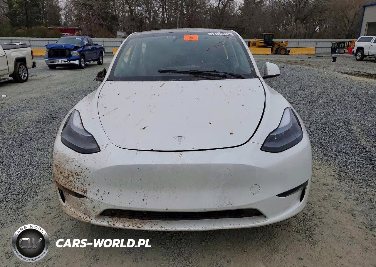 2024 Tesla Model Y VIN:7SAYGAEE8RF191631 - 5