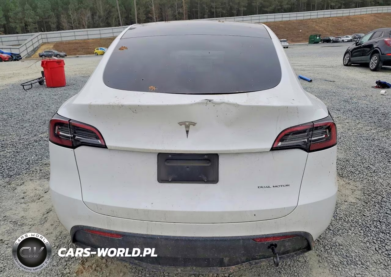 2024 Tesla Model Y VIN:7SAYGAEE8RF191631 - 6