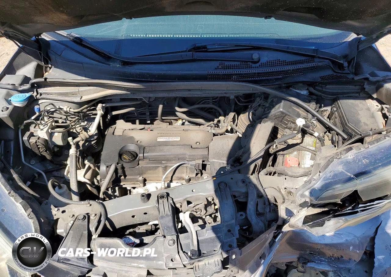 2016 Honda Cr-V Lx VIN:2HKRM4H31GH617079 - 12