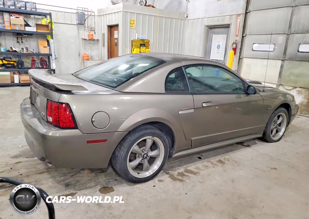 2002 Ford Mustang Gt VIN:1FAFP42X12F189450 - 3