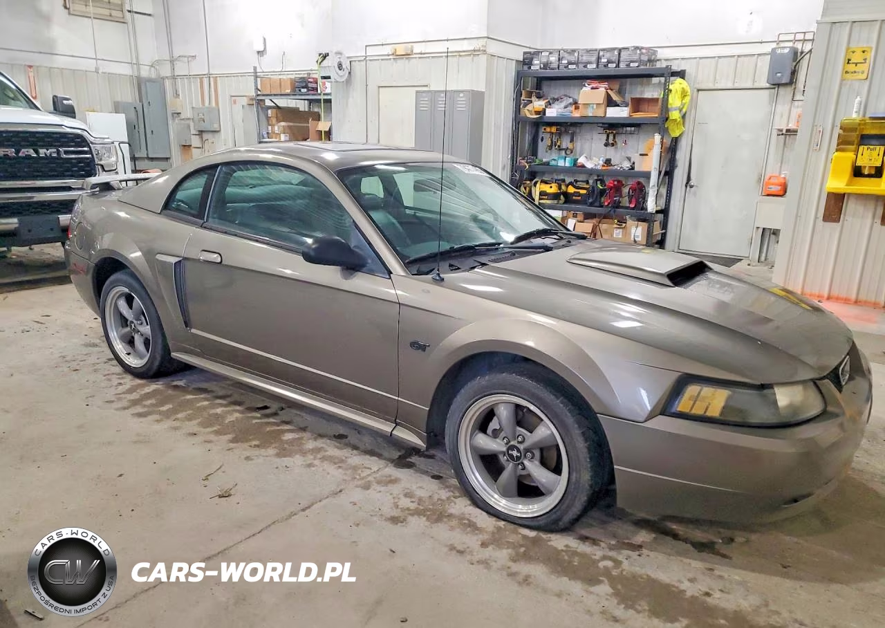 2002 Ford Mustang Gt VIN:1FAFP42X12F189450 - 4