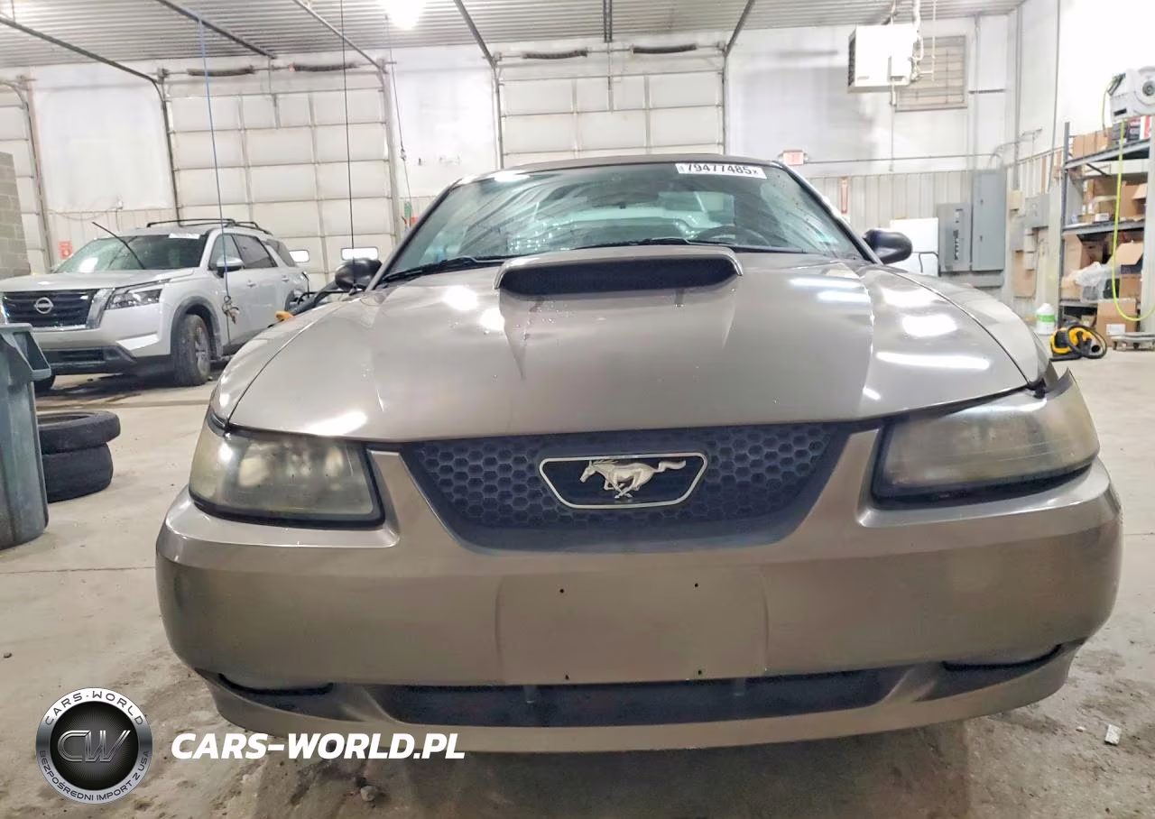 2002 Ford Mustang Gt VIN:1FAFP42X12F189450 - 5