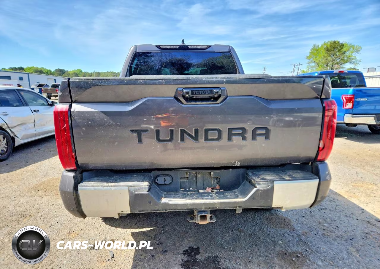 2022 Toyota Tundra Limited VIN:5TFJA5DB8NX053490 - 6