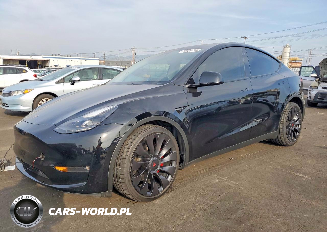 2023 Tesla Model Y