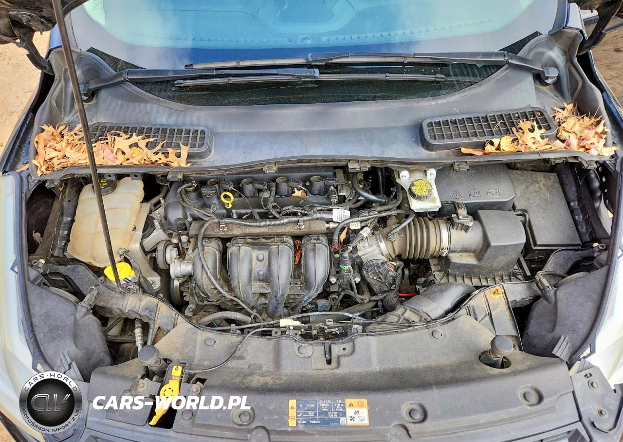 2016 Ford Escape S VIN:1FMCU0F79GUC51765 - 11