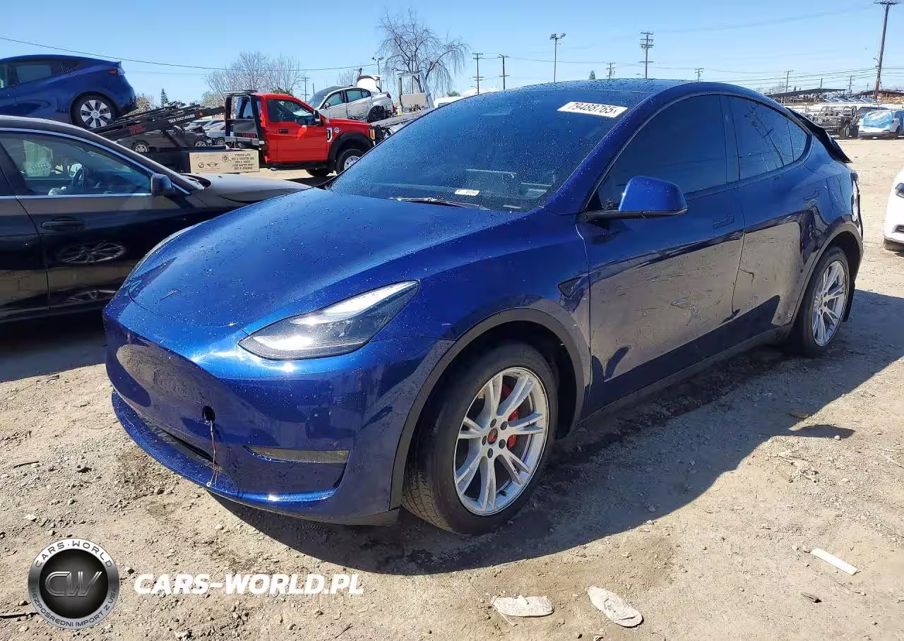 2023 Tesla Model Y