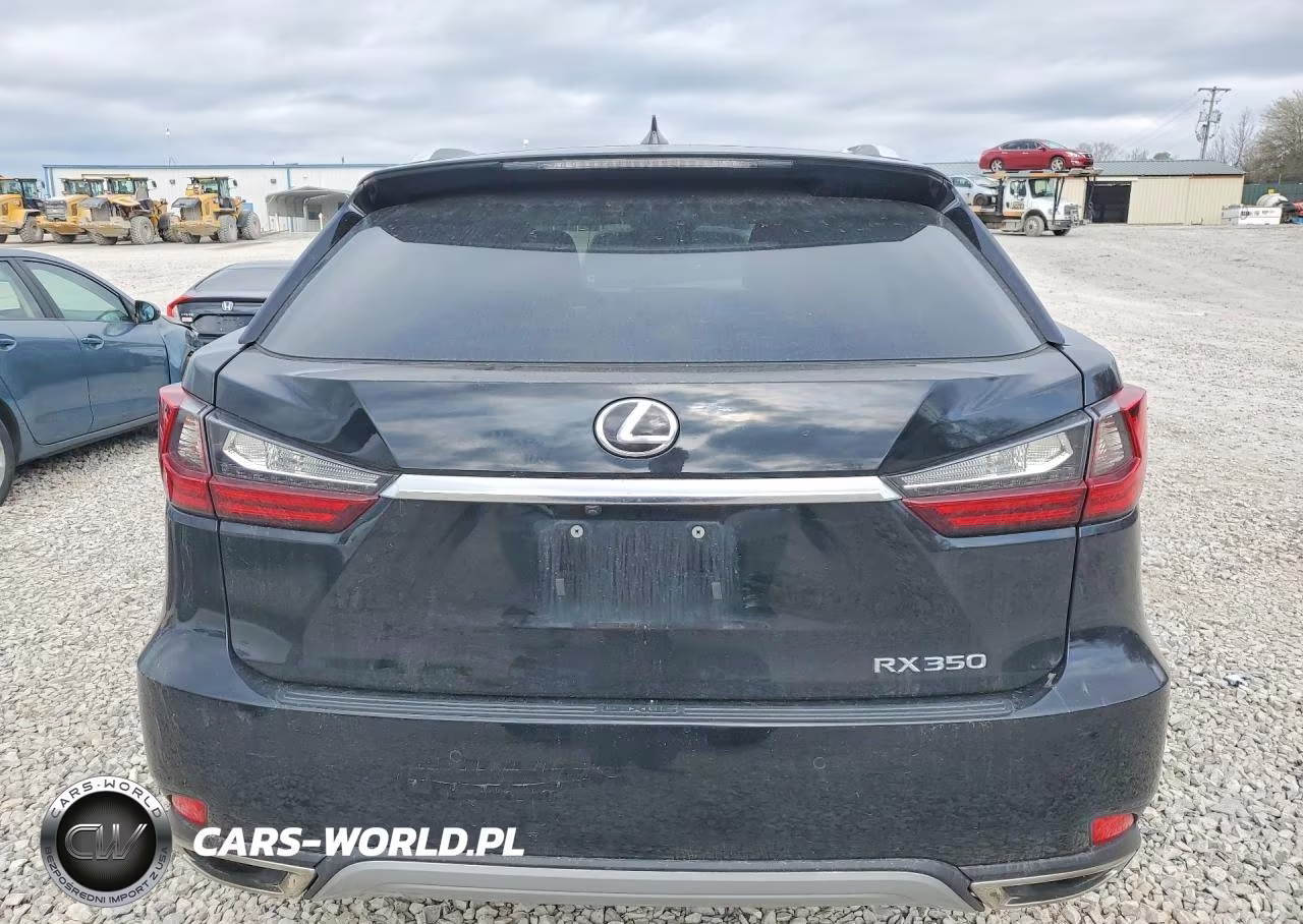 2020 Lexus Rx 350 Base VIN:2T2HZMAA9LC165588 - 6