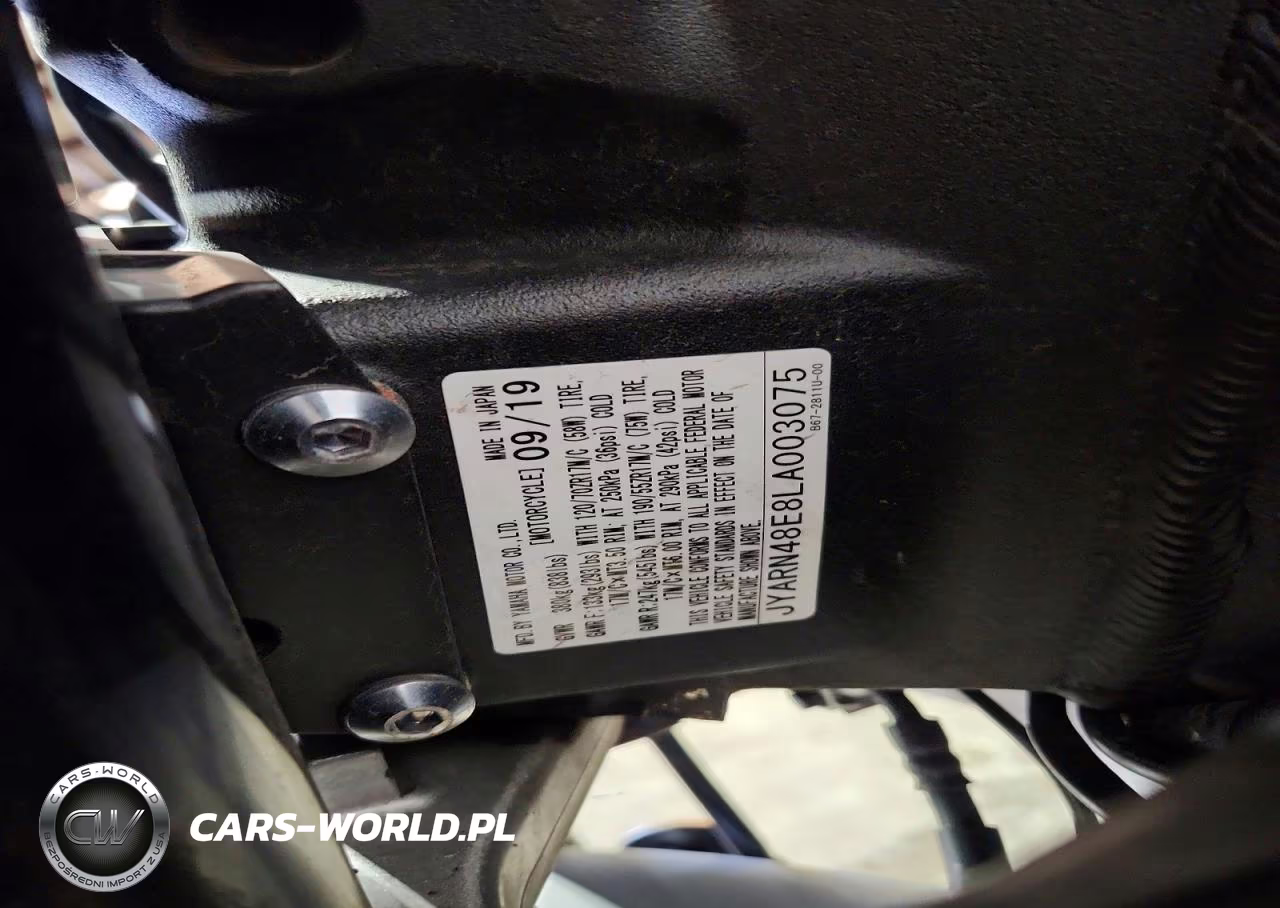 2020 Yamaha Mtn1000 VIN:JYARN48E8LA003075 - 10