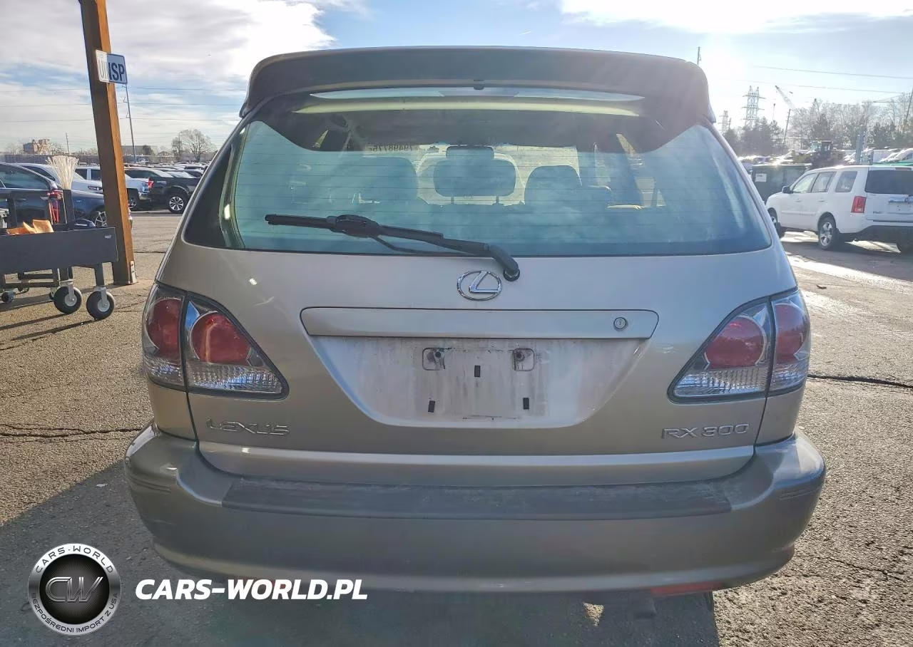 2003 Lexus Rx 300 Base VIN:JTJHF10U030296021 - 6