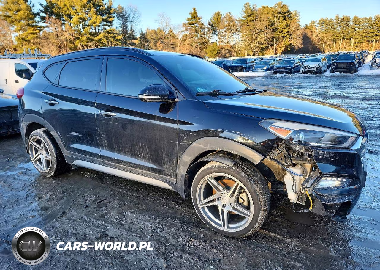 2017 Hyundai Tucson Limited VIN:KM8J3CA23HU292661 - 4