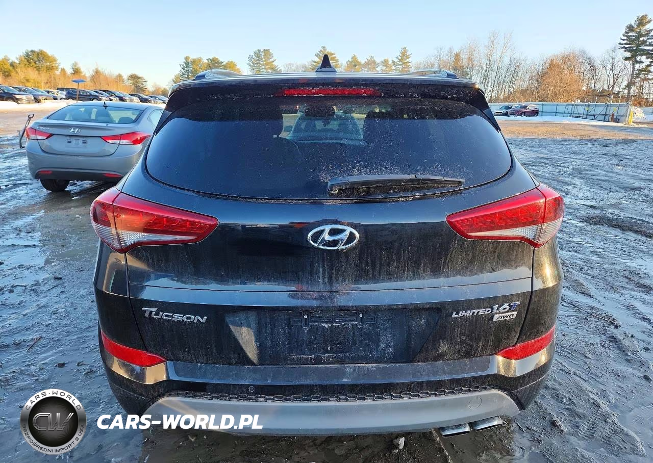 2017 Hyundai Tucson Limited VIN:KM8J3CA23HU292661 - 6