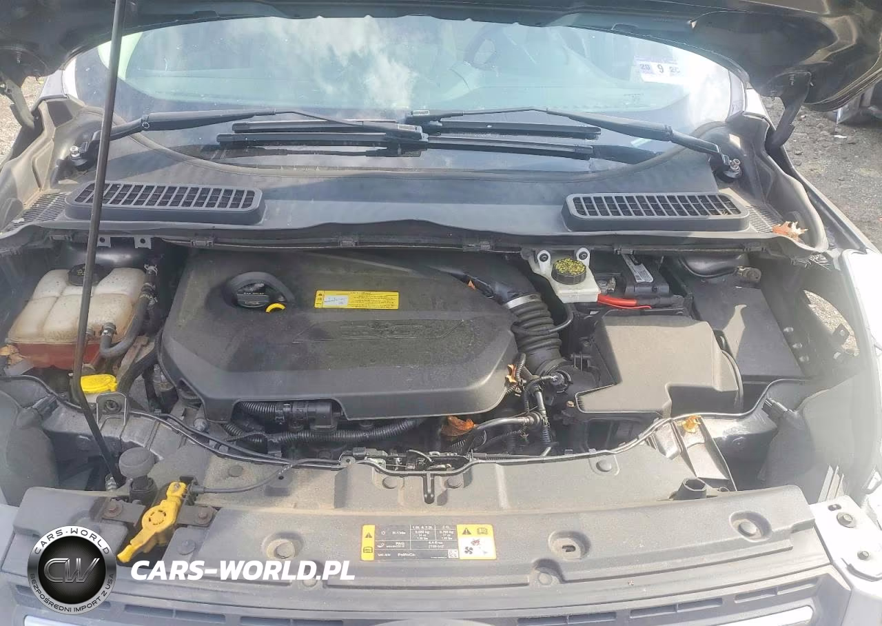 2014 Ford Escape Se VIN:1FMCU9GX8EUC80559 - 12