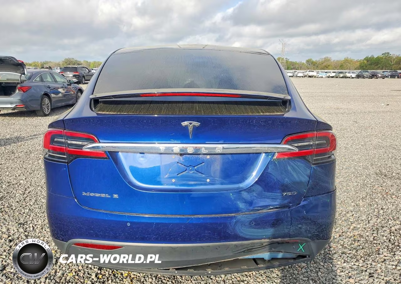 2018 Tesla Model X VIN:5YJXCDE29JF112919 - 6