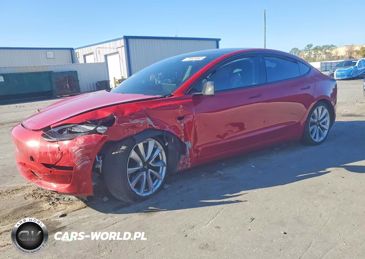 2019 Tesla Model 3