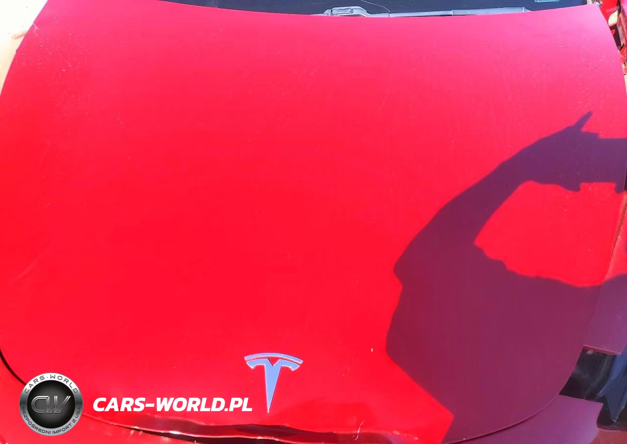 2019 Tesla Model 3 VIN:5YJ3E1EA2KF402094 - 11