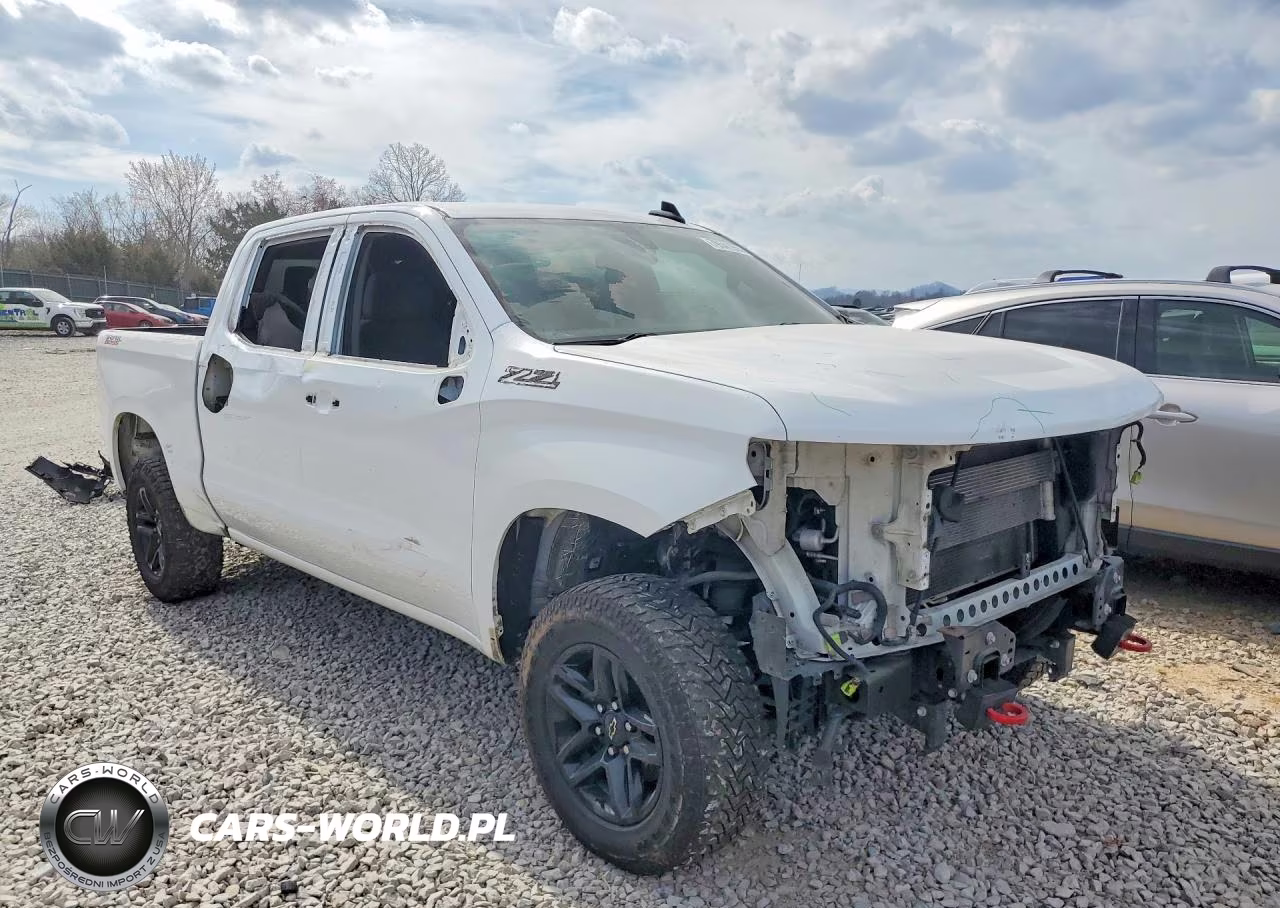 2020 Chevrolet Silverado K1500 Lt Trail Boss VIN:3GCPYFED9LG169441 - 4
