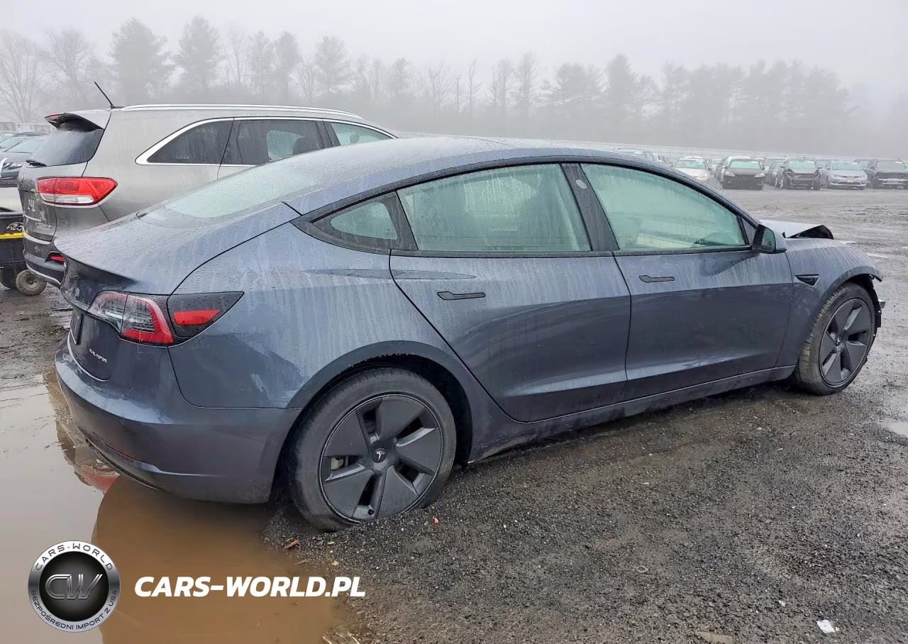 2021 Tesla Model 3 VIN:5YJ3E1EB3MF087379 - 3