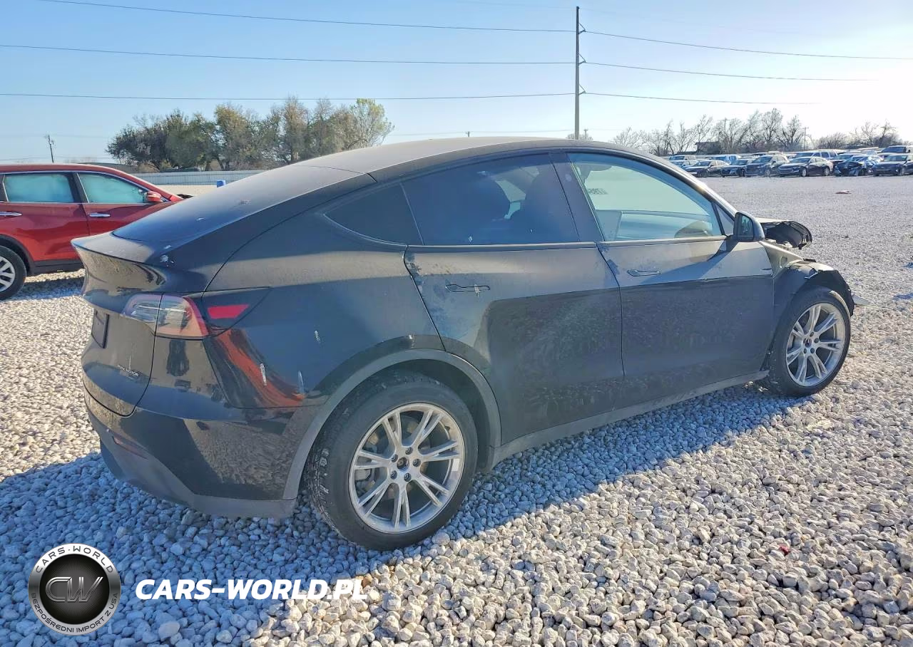 2023 Tesla Model Y VIN:7SAYGDEE2PA136832 - 3