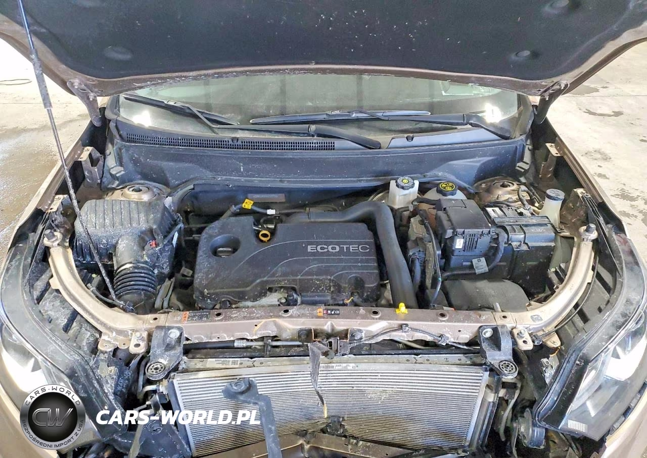 2019 Chevrolet Equinox Lt VIN:2GNAXJEV4K6229101 - 12