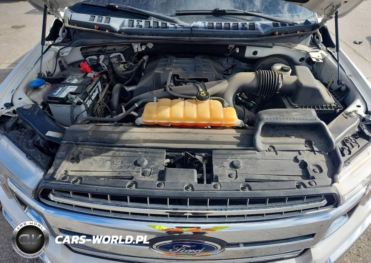 2018 Ford F150 Supercrew VIN:1FTEW1CP2JKC46816 - 11