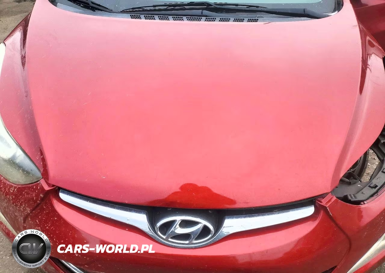 2014 Hyundai Elantra Se VIN:5NPDH4AE9EH473238 - 11