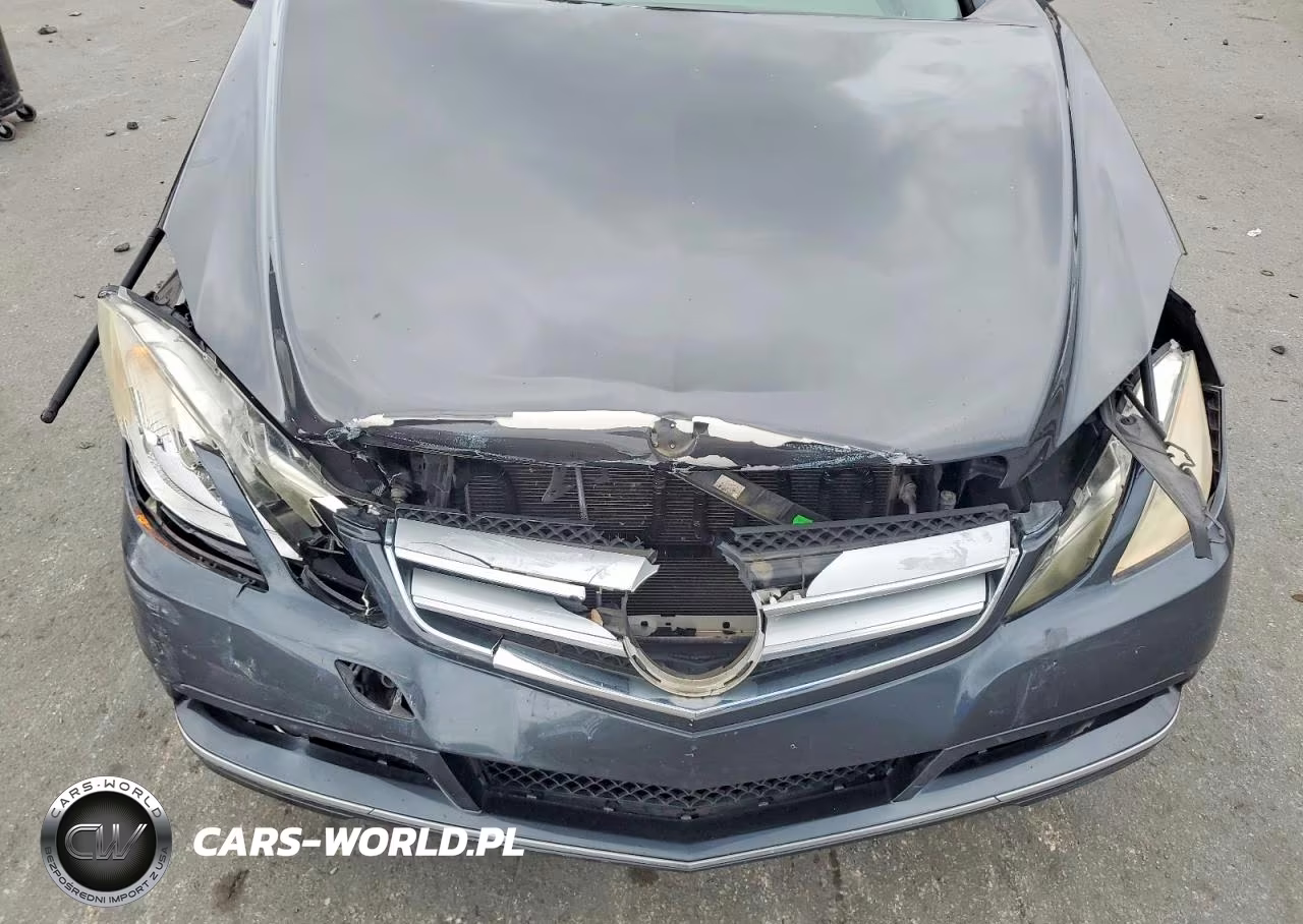 2010 Mercedes-Benz E 350 VIN:WDDKJ5GB0AF004838 - 11