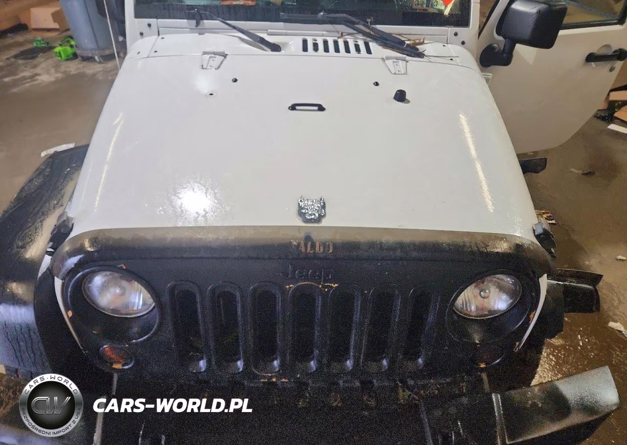 2013 Jeep Wrangler Unlimited Sport VIN:1C4BJWDG3DL601357 - 11
