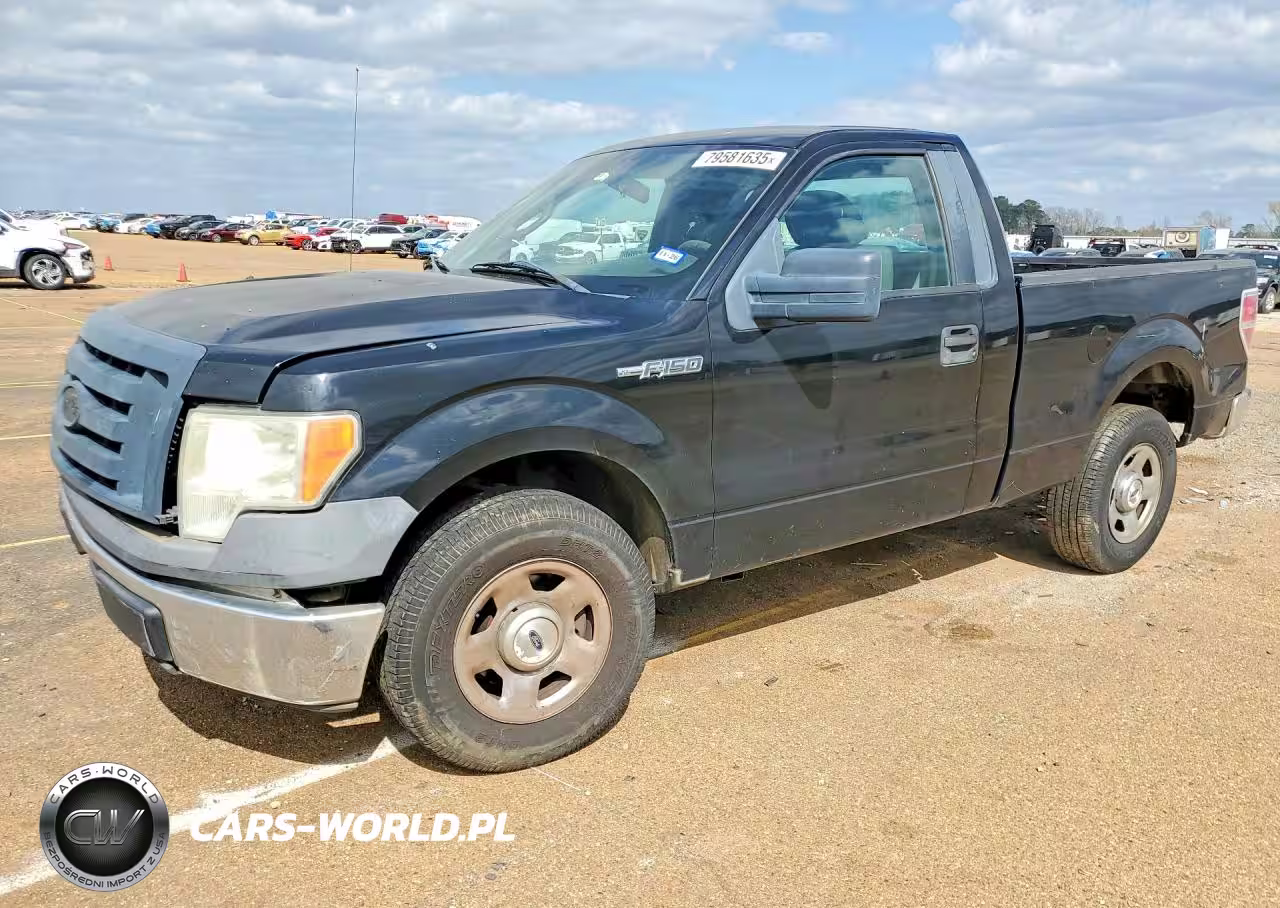 2009 Ford F150