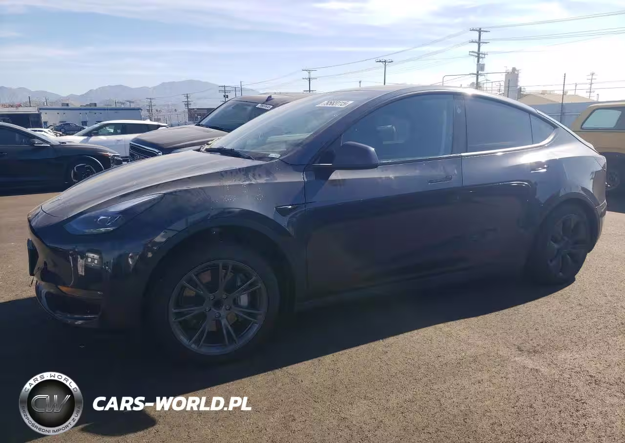 2024 Tesla Model Y