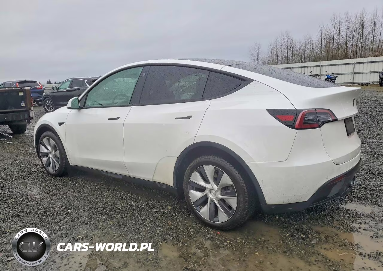 2021 Tesla Model Y VIN:5YJYGAEE5MF196386 - 2